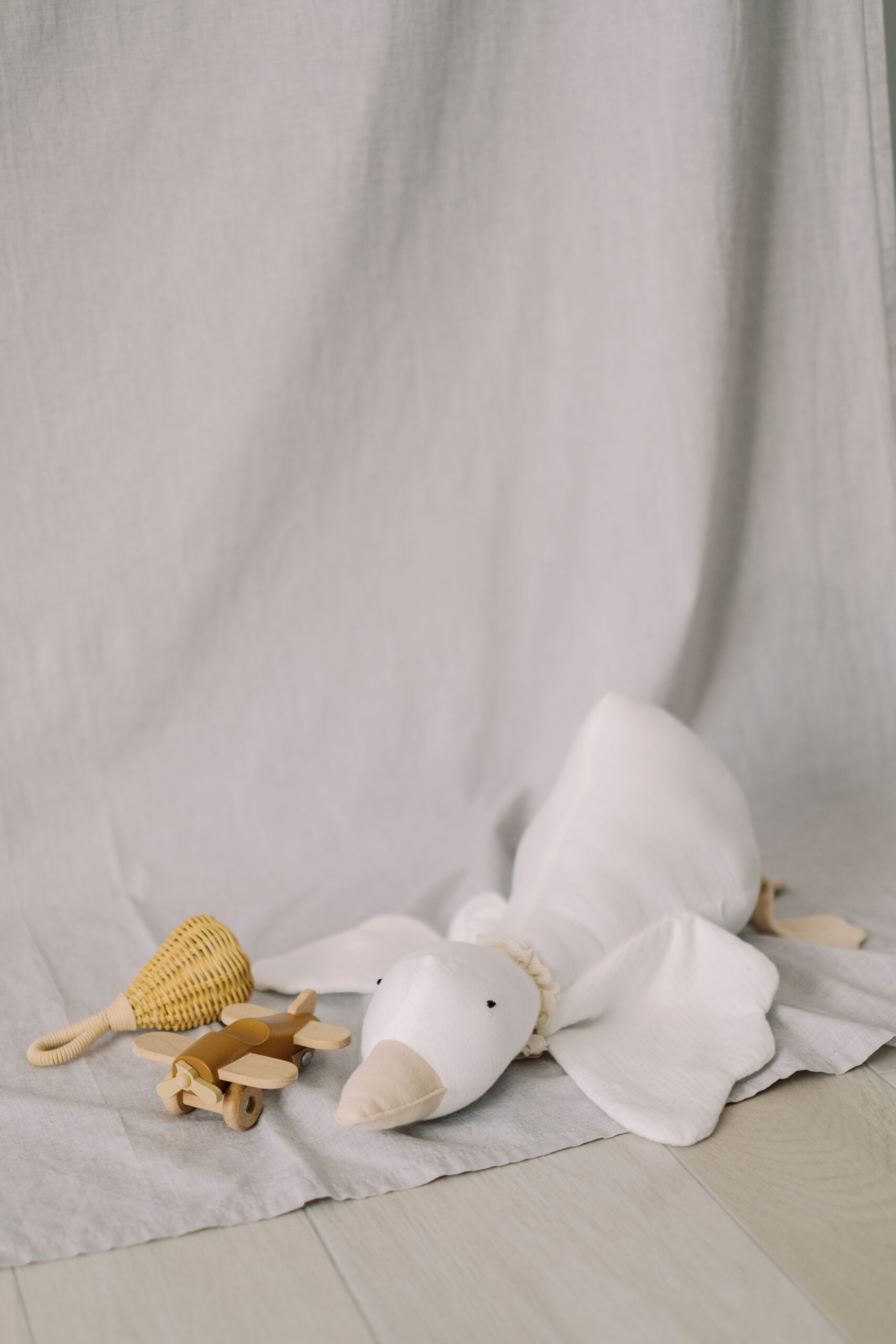 Little Goose - immagine 7