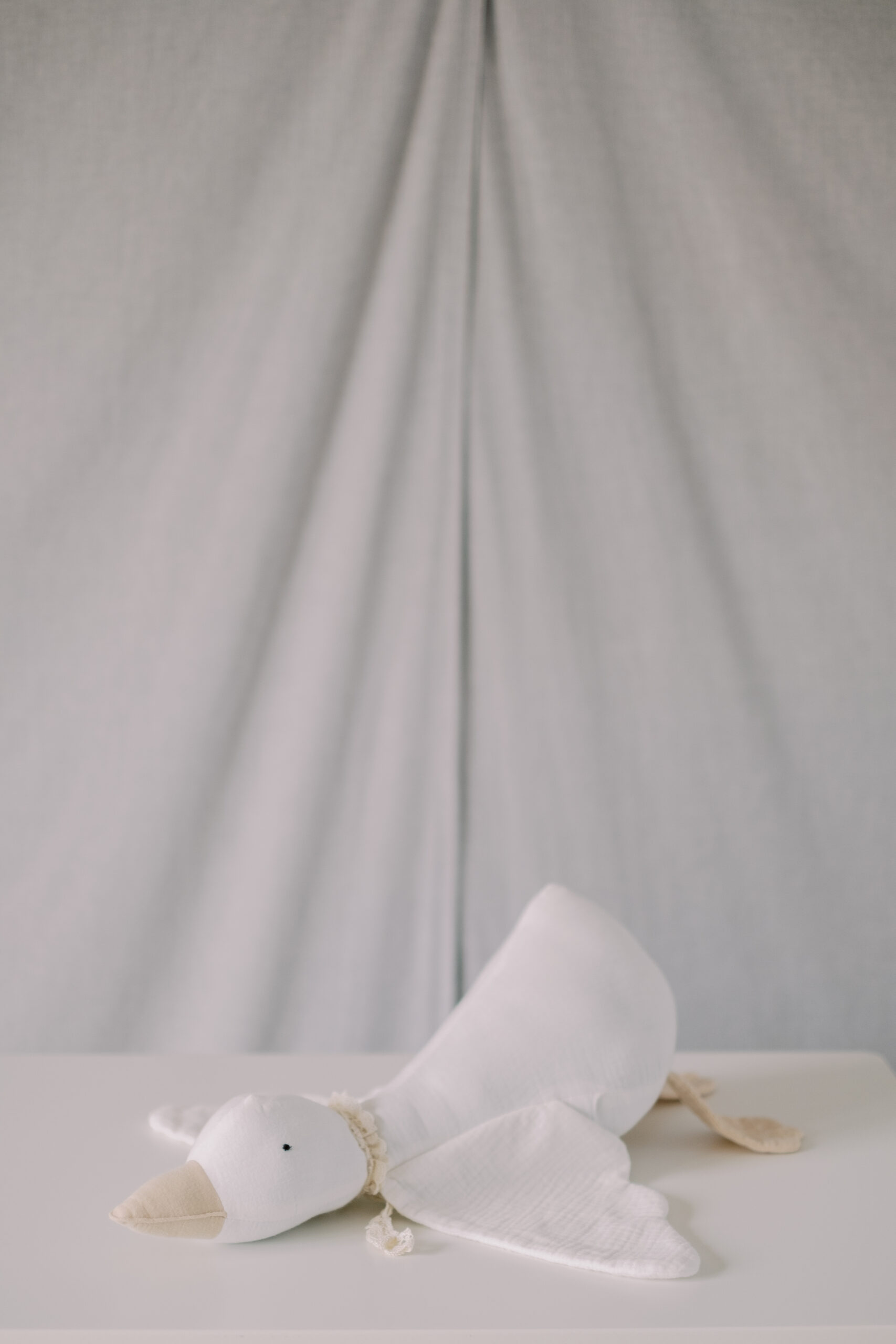 Little Goose - immagine 8