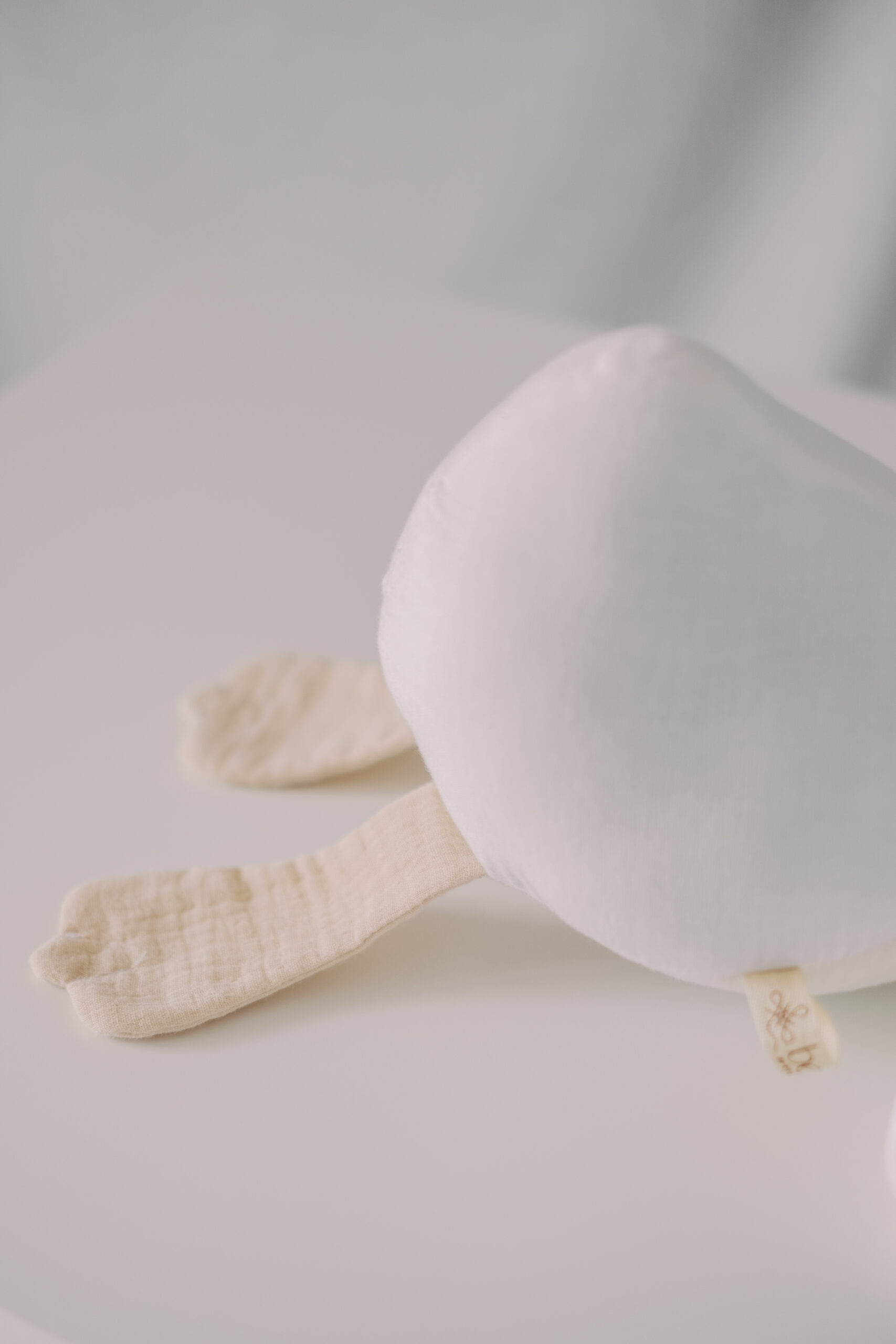 Little Goose - immagine 2