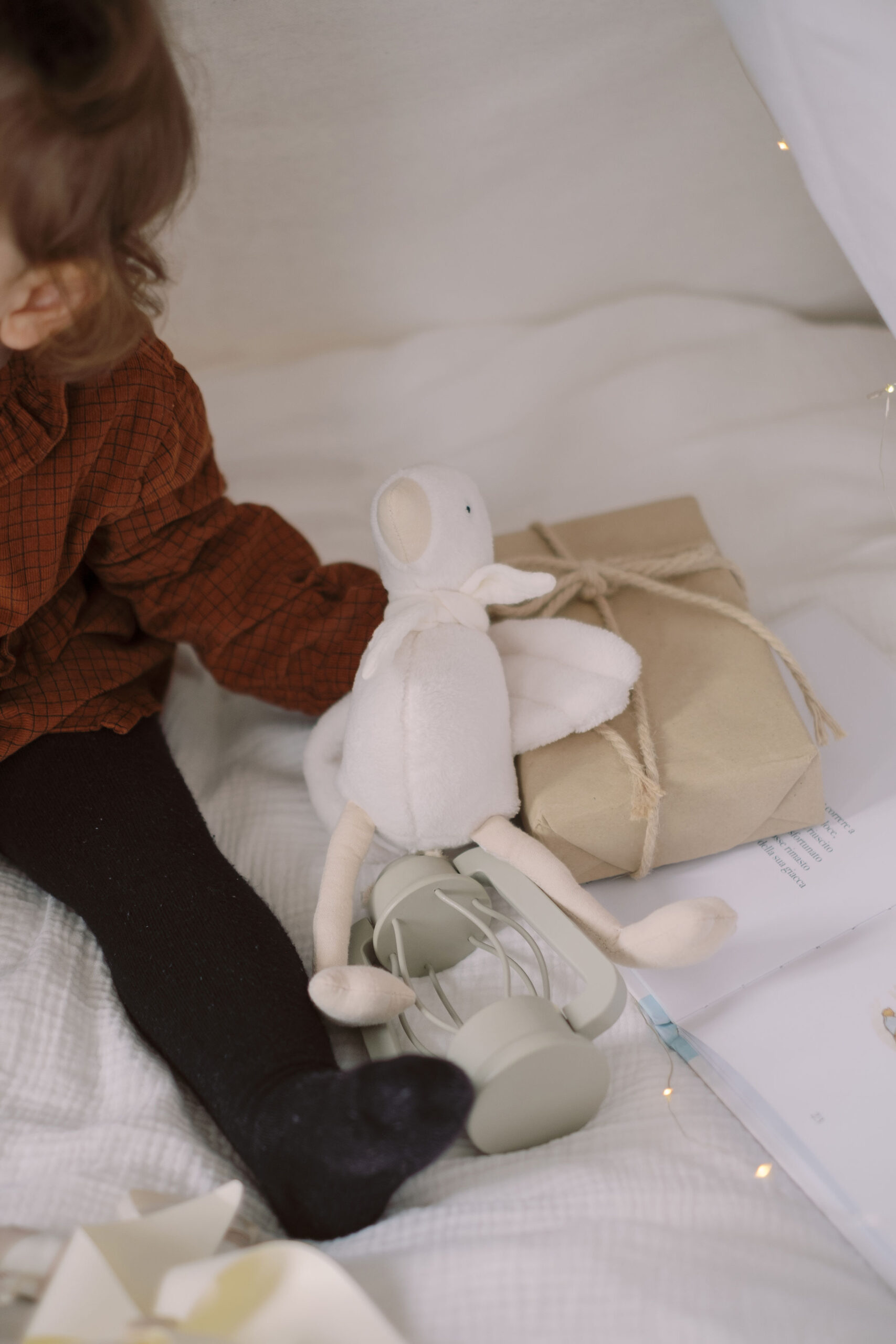 Baby goose - immagine 2